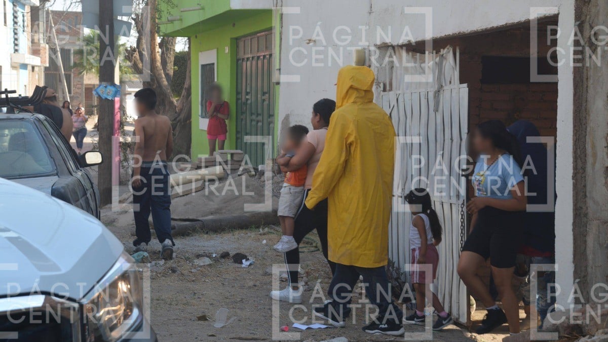 ¡Auxilio! Rescatan a familia de furioso enjambre; se refugiaron en una habitación
