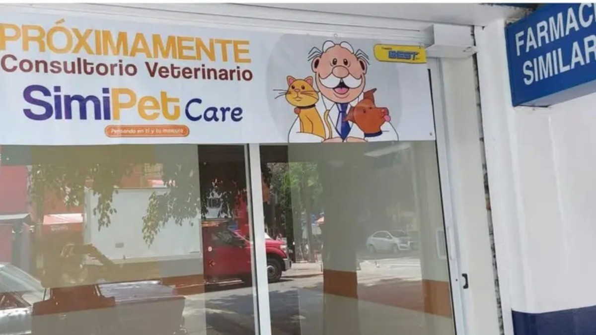 ¡A los gatitos y perritos les gusta esto! ¿Dr. Simi también será veterinario?