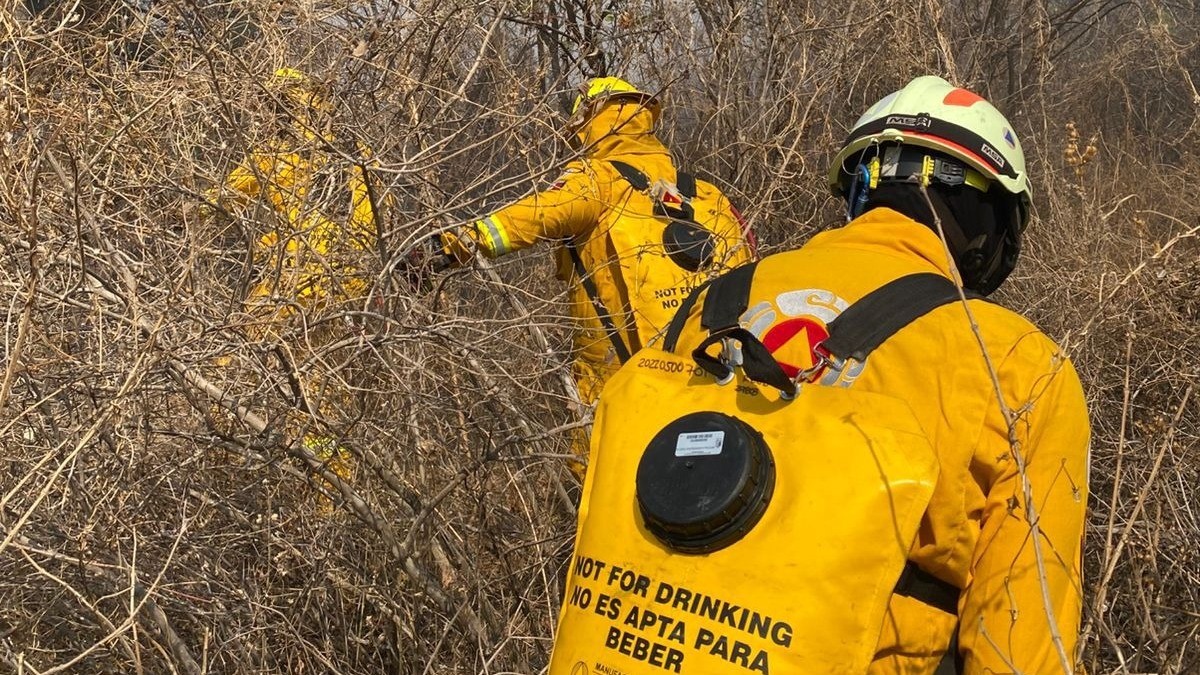 Tras larga lucha, Bomberos sofocan incendio en Cerro Gordo
