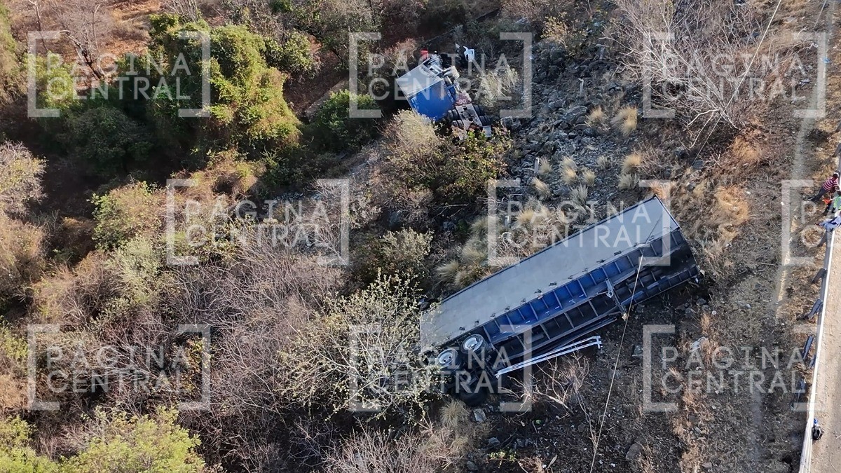 ¡Sin control! Tráiler con 2 cajas se sale de la carretera en la Silao-San Felipe y vuelca