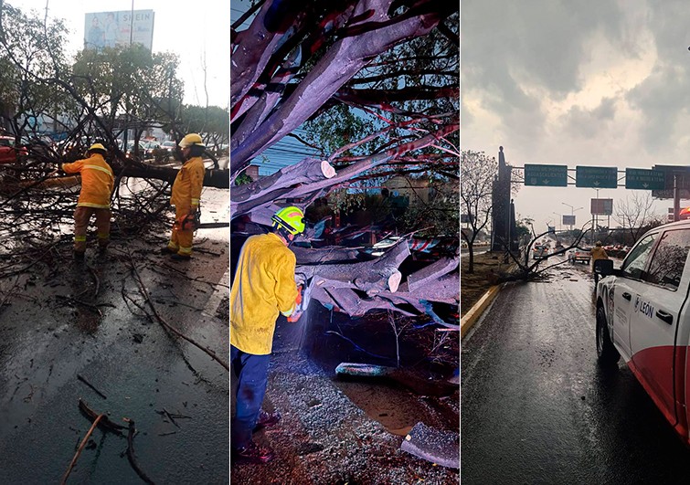 Se registra la primera precipitación de la temporada de lluvias 2025 en León