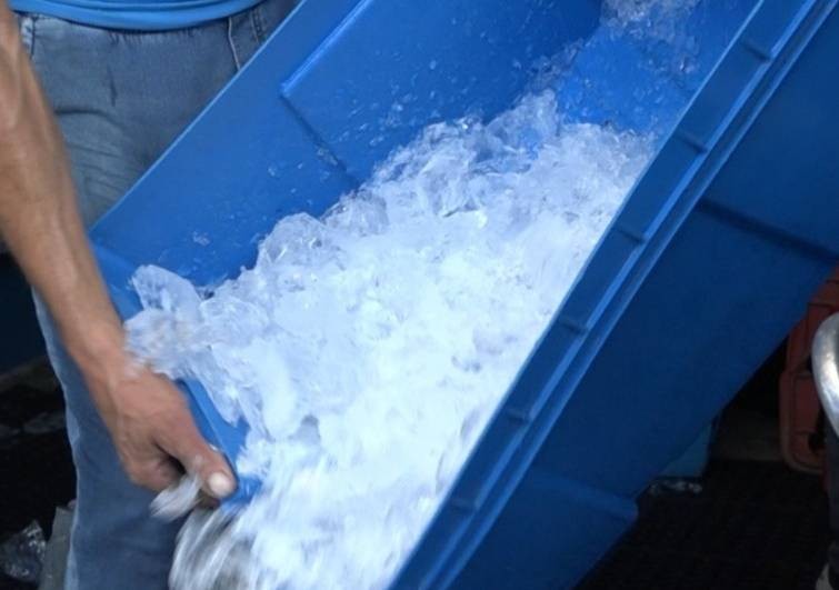¡El oro blanco del calor! Venta de hielo en León se dispara 300%, ¿hay abasto para todos?