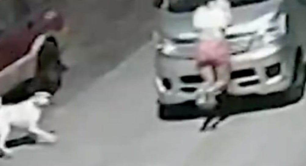 Los últimos momentos de Mary, joven que fue arrollada por técnicos tras ser abusada