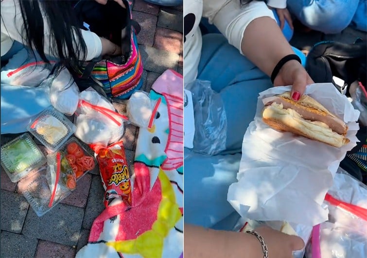 VIDEO Familia mexicana se viraliza por preparar tortas en Disneyland