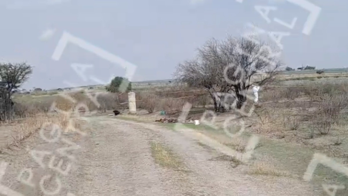 Vecinos iban caminando por una parcela cuando vieron un cuerpo en descomposición