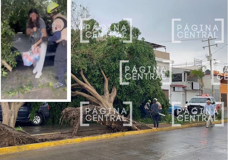 VIDEO ¡Lluvias en León! Rescatan a madre e hija tras caída de enorme árbol sobre su auto