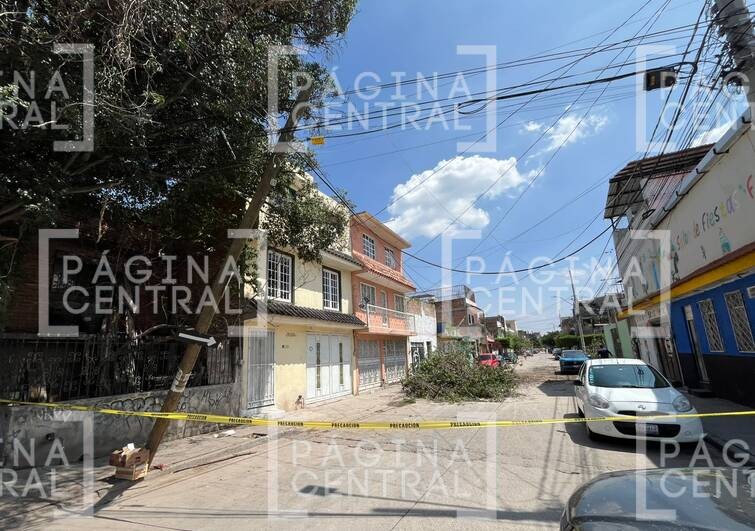 ¡Peligro latente en este bulevar de León! Árbol derriba poste y deja cableado expuesto