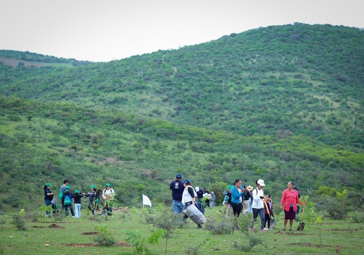 ¡Más de 48 mil árboles serán plantados! León impulsa estrategia de forestación