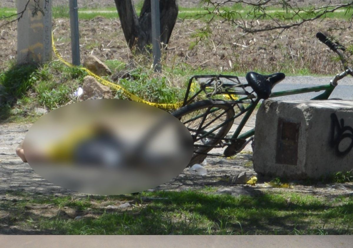 VIDEO Descansaba debajo de árbol: Sicarios ven a hombre y lo matan a balazos 