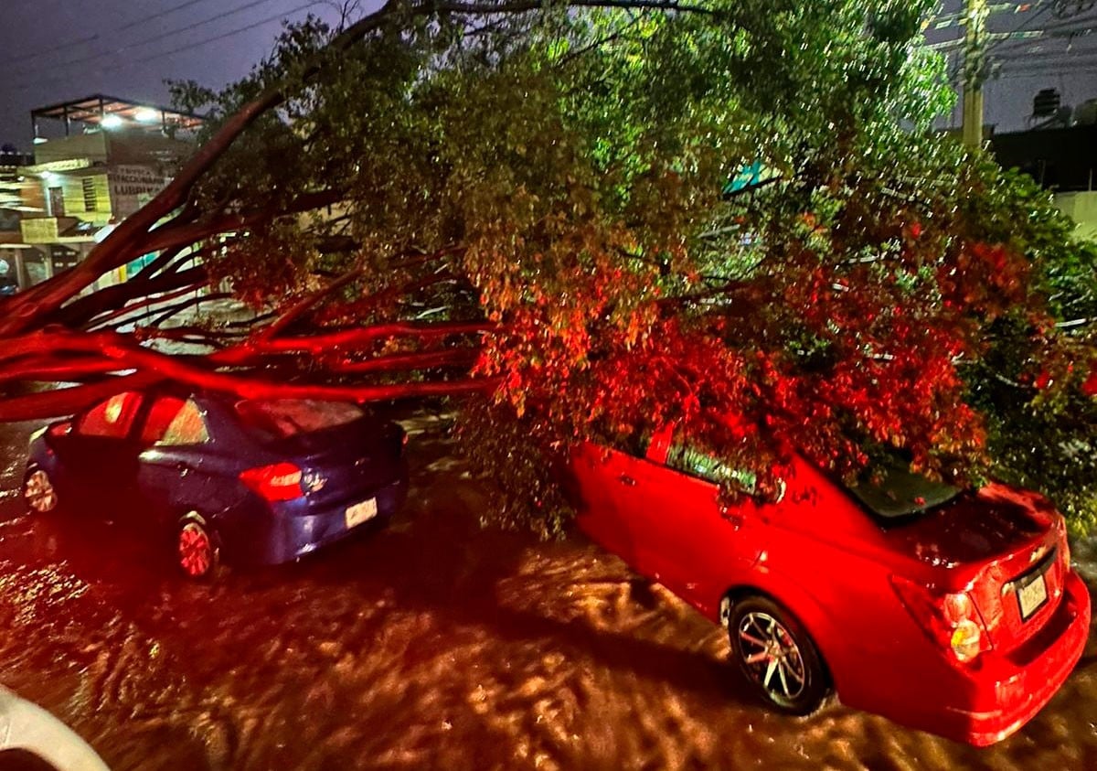 VIDEOS ¡Fuerte tromba! Se registran encharcamientos y hasta un auto aplastado por un árbol