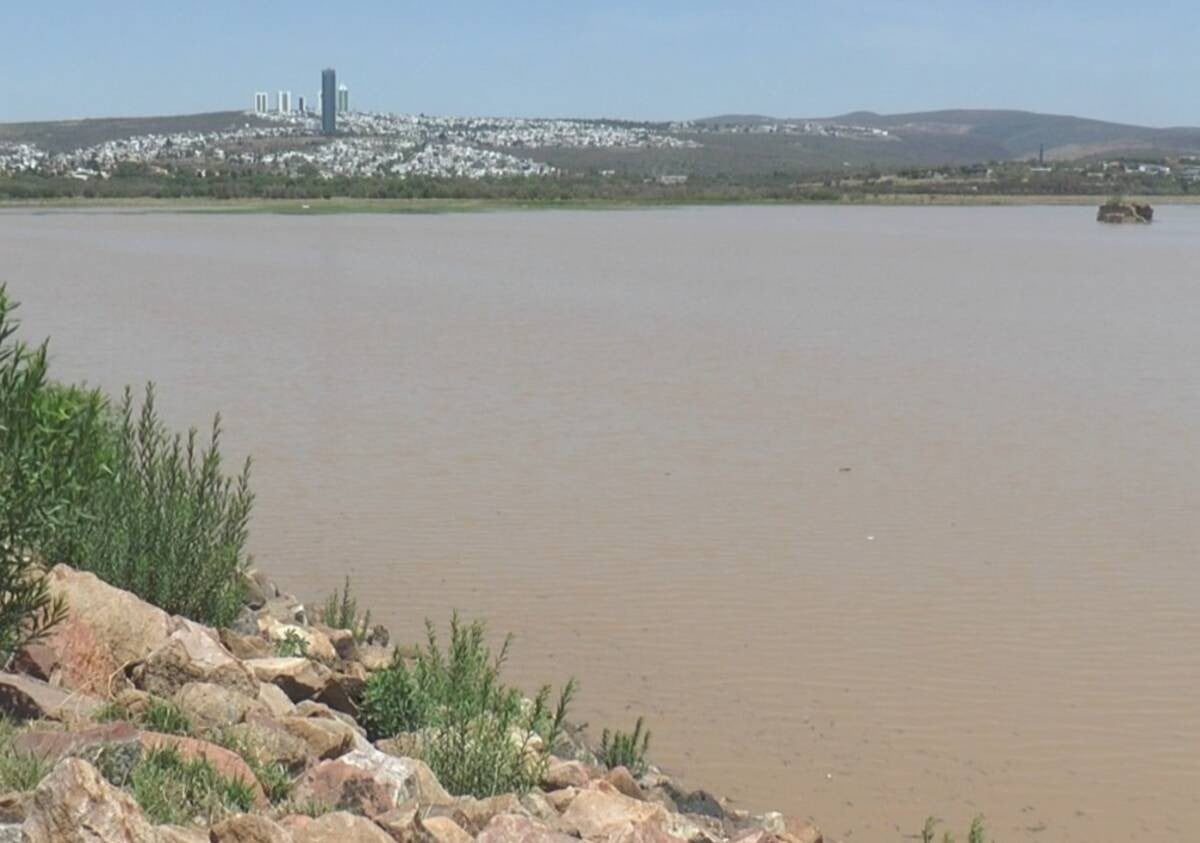 ¡Y apenas son las primeras lluvias! La presa El Palote se empieza a recuperar