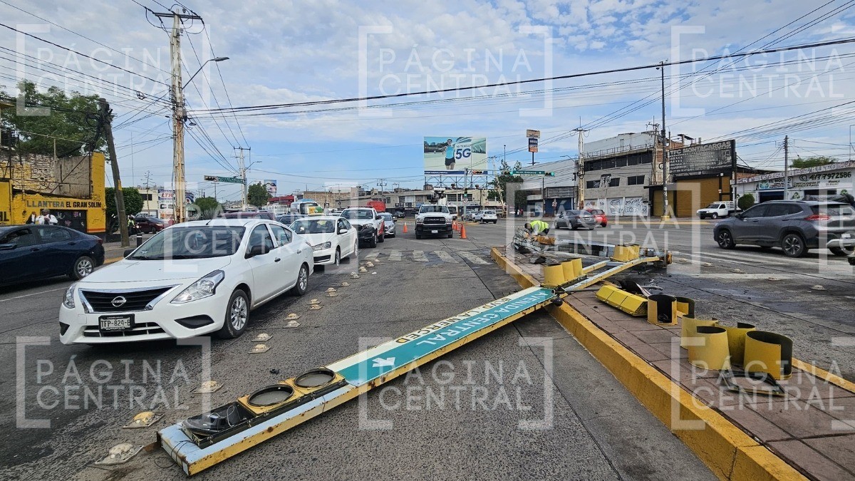 ¡Ahora sí fue vuelta de trailero! Conductor de tráiler tumba semáforo y colapsa el tráfico
