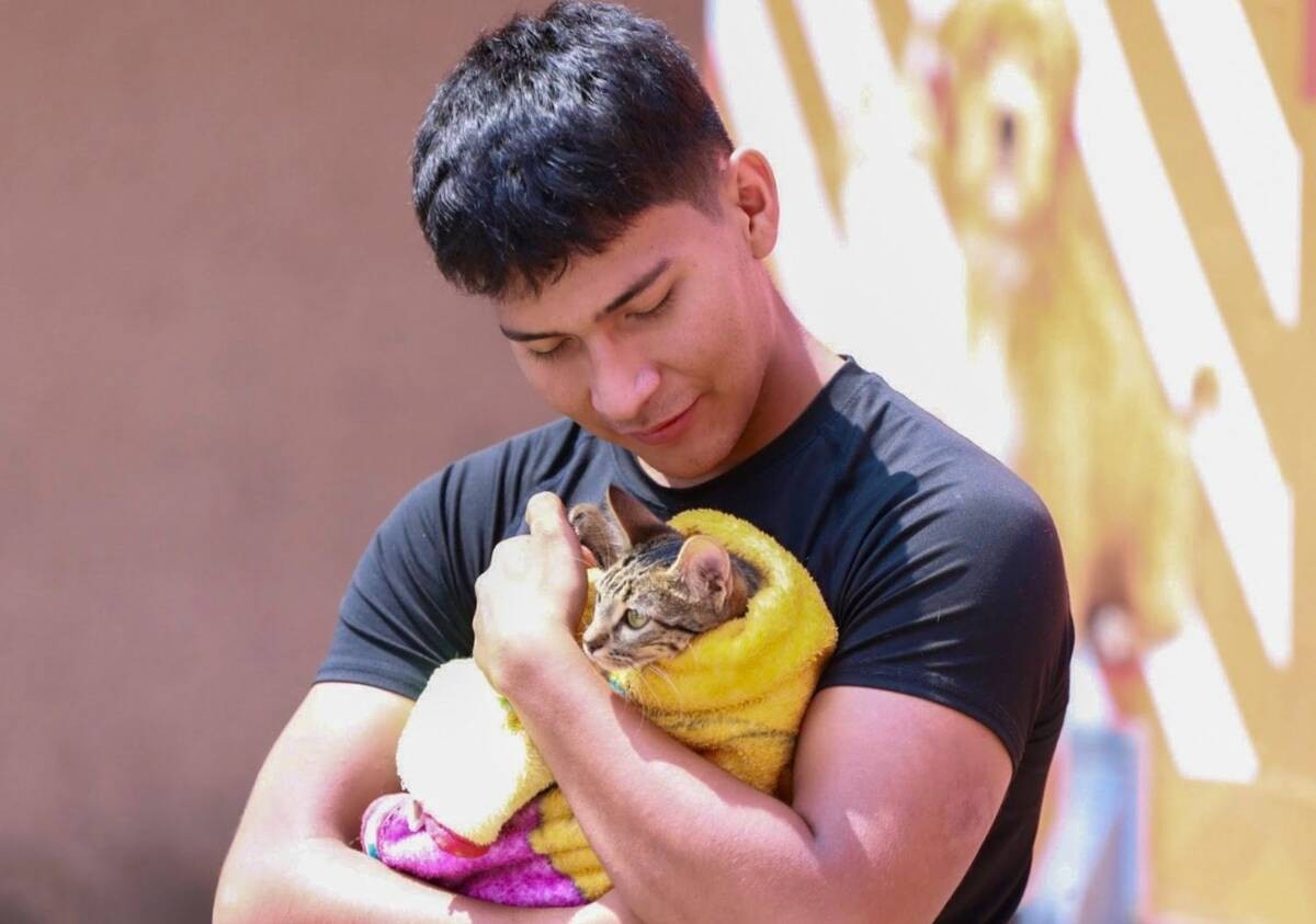 ¡Es por humanidad y amor! León, número uno en el país en esterilización de mascotas