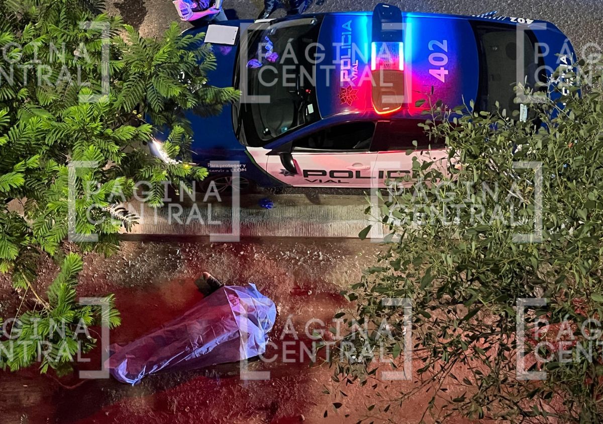 VIDEOS Salió proyectado: Motociclista muere tras chocar contra muro y caer de puente