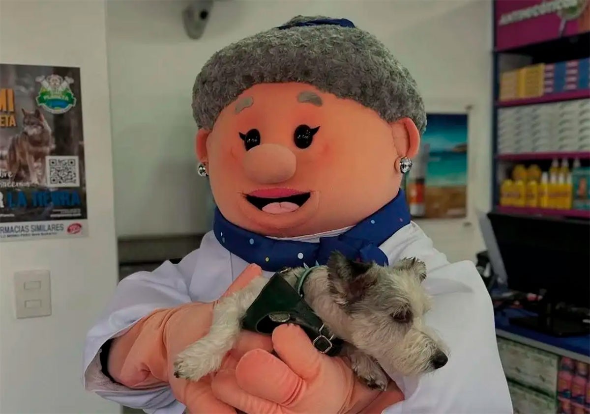 ¿Reemplazan al Dr. Simi? Presentan a la Dra. Lares junto con las veterinarias de similares