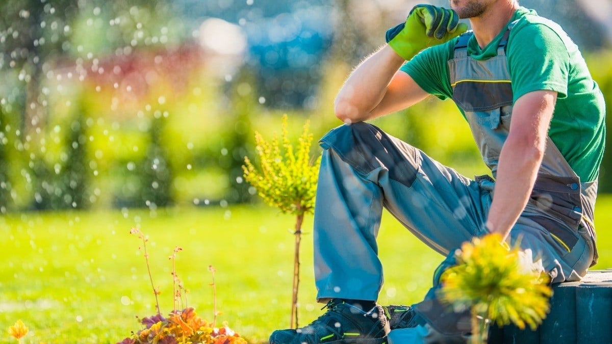 ¡Arranca hoy! ¿A quién beneficia la Ley Silla y en qué consiste?