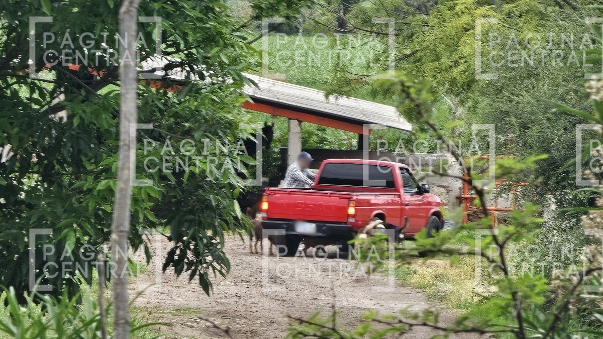 “La familia está mal” Camino sin regreso: Así ocurrió el horror en Piedra Blanca