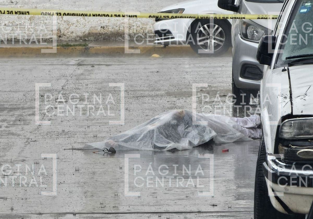 VIDEO En plena lluvia: Sicarios interceptan a hombre y lo matan a balazos en León