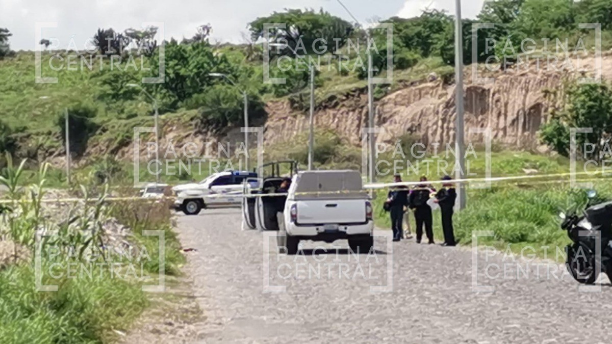 Vecinos caminaban por el cerro cuando encontraron un cuerpo al que devoraban los perros