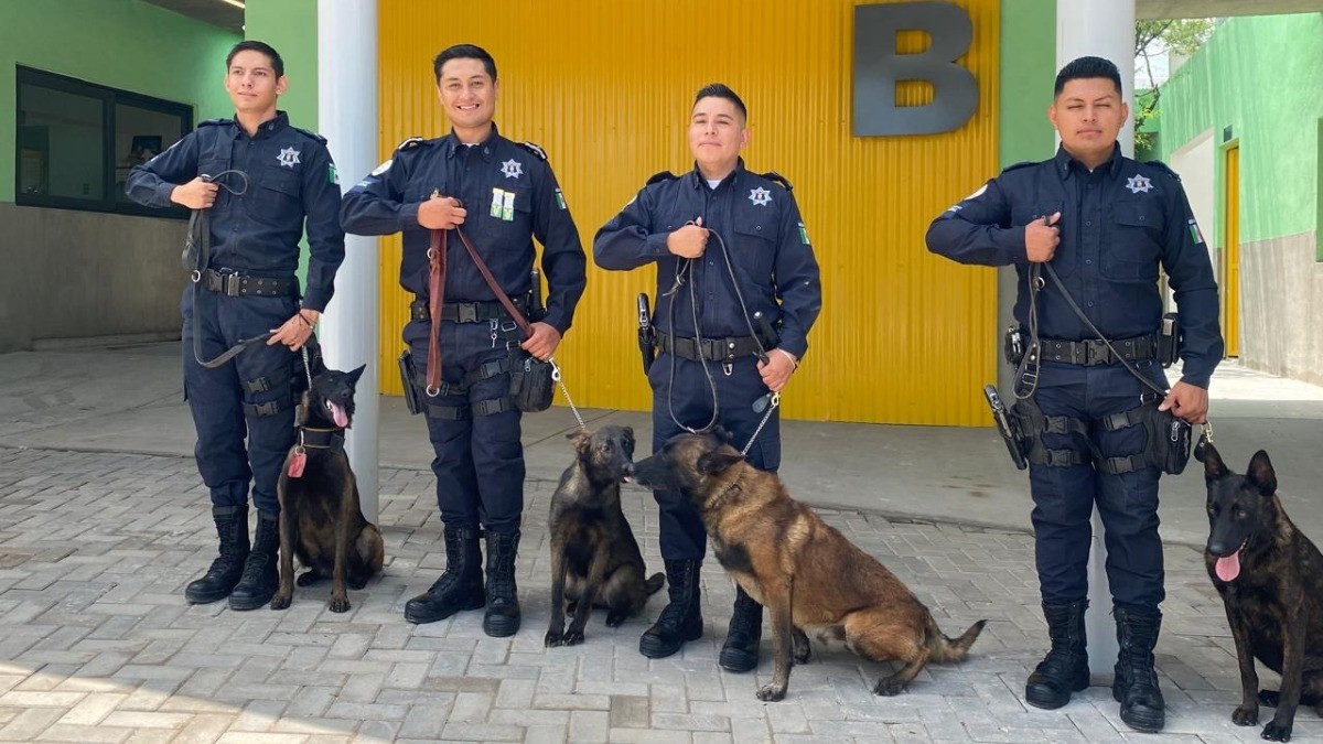 ¡Policía Canina y caballos estrenan casa! Binomios K9 y equinos tienen nuevo lugar en León