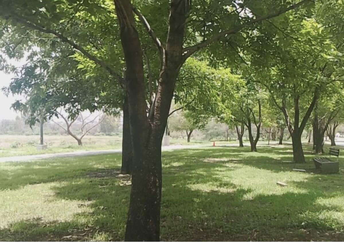 ¿Tienes fácil acceso a áreas recreativas en León? Esto dice un estudio del OCL