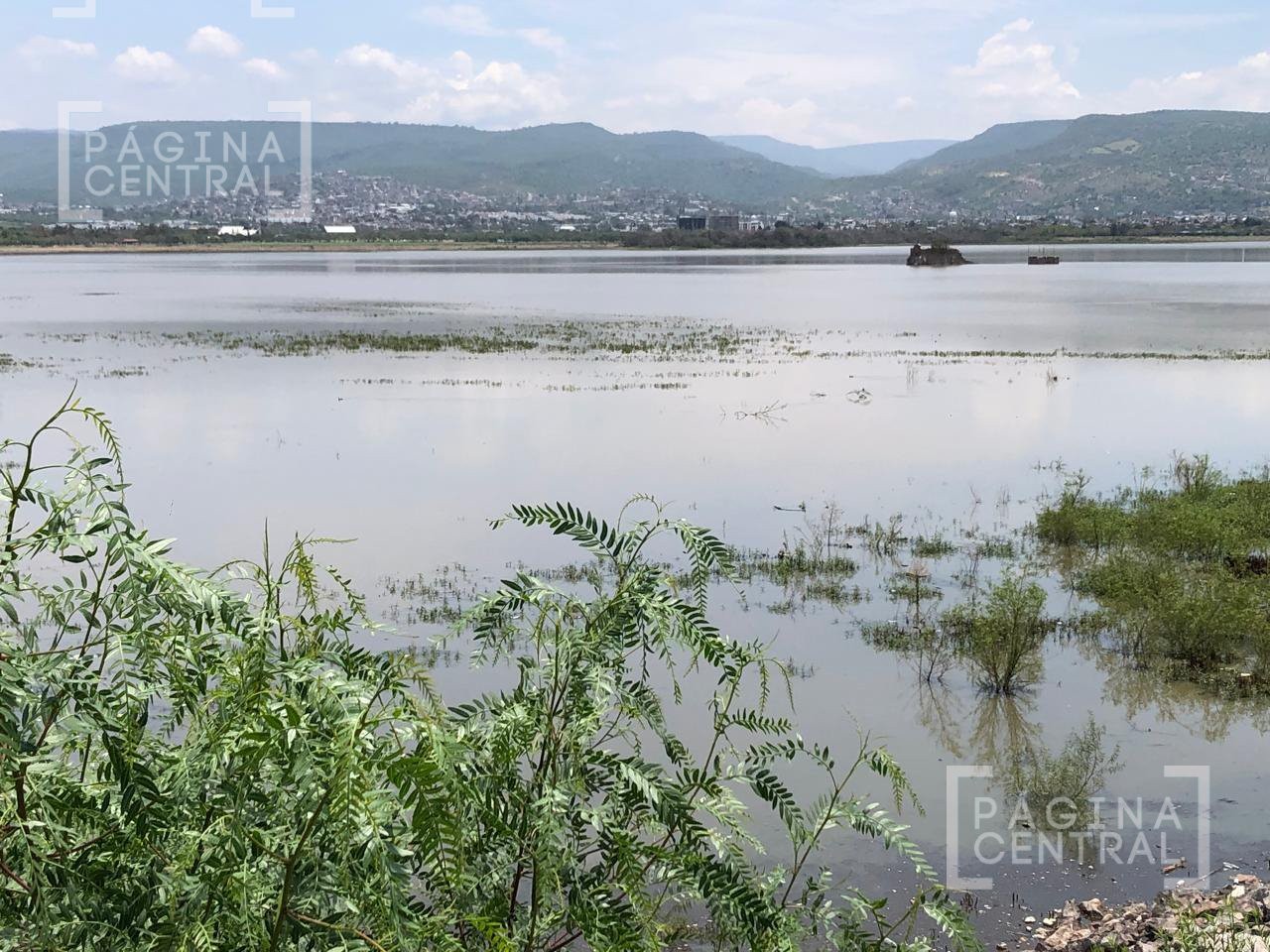 Después de una década de sequías, presas de León recuperan su explendor por lluvias