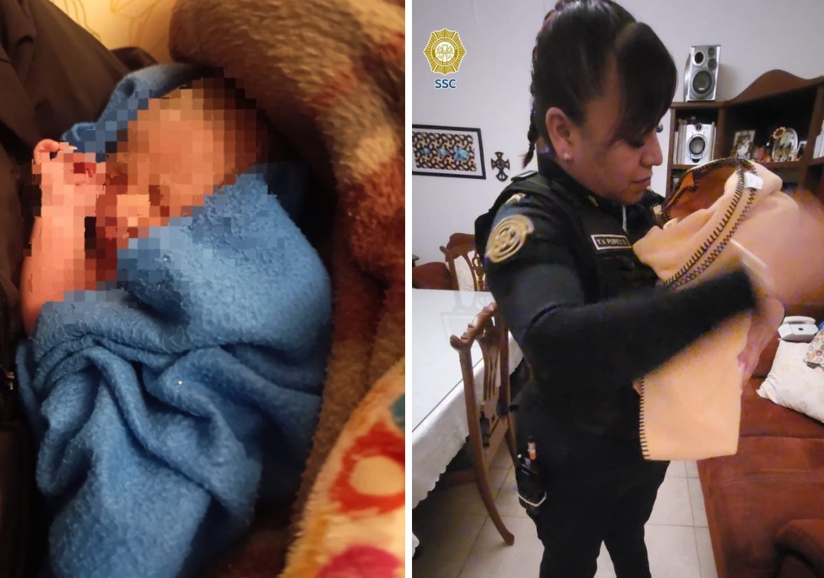 Escuchó el llanto: Hombre paseaba a su perro y ve a bebé abandonada en arbusto