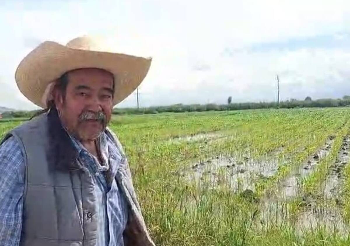 Se desborda río y campesinos de León pierden toneladas de maíz y sorgo