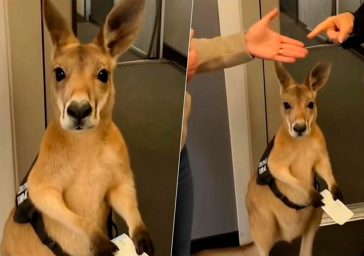 ¿Video real o falso? Aprende a detectar contenidos creados con inteligencia artificial