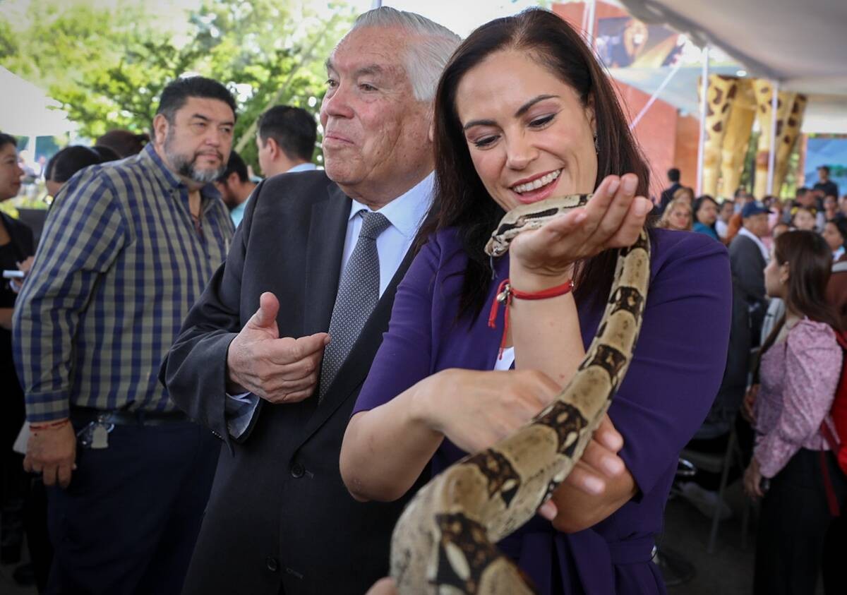 ¡Usa el 'Pásale Gratis'! ZooLeón, entre los mejores del país y va por el número 1