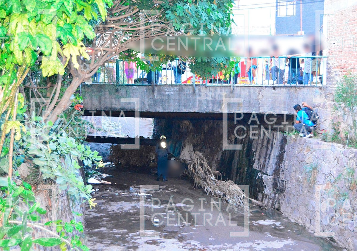 Vecinos descubren el cuerpo de una persona en un arroyo cubierto de hierba y ramas