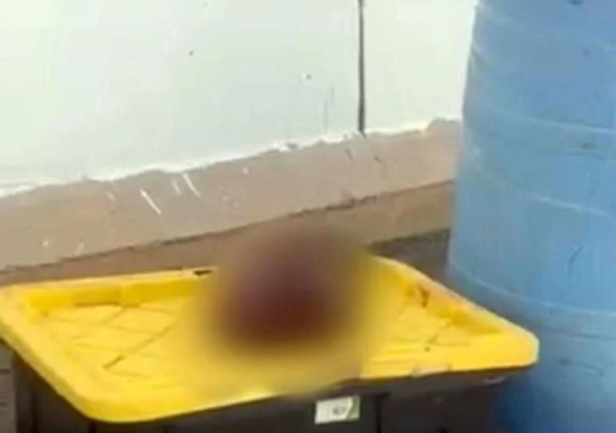 Estaban en cajas: Vecinos abren contenedor de basura y ven 3 cabezas humanas 