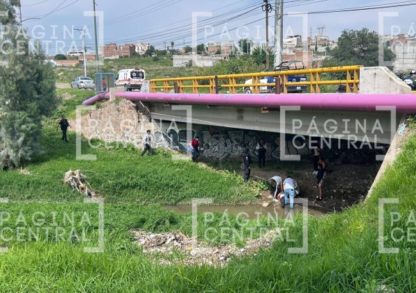 Motociclista derrapa su moto, choca con banqueta y cae a un río ¡desde seis metros!