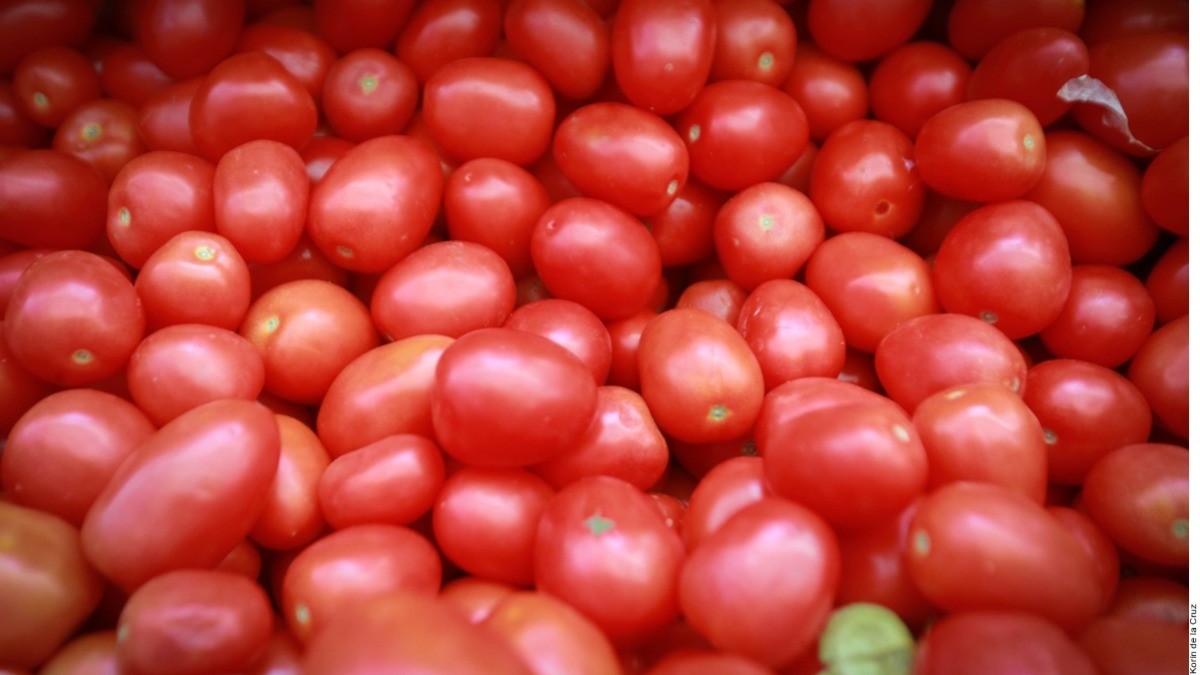 Tumbaría arancel 25 % exportación de jitomate