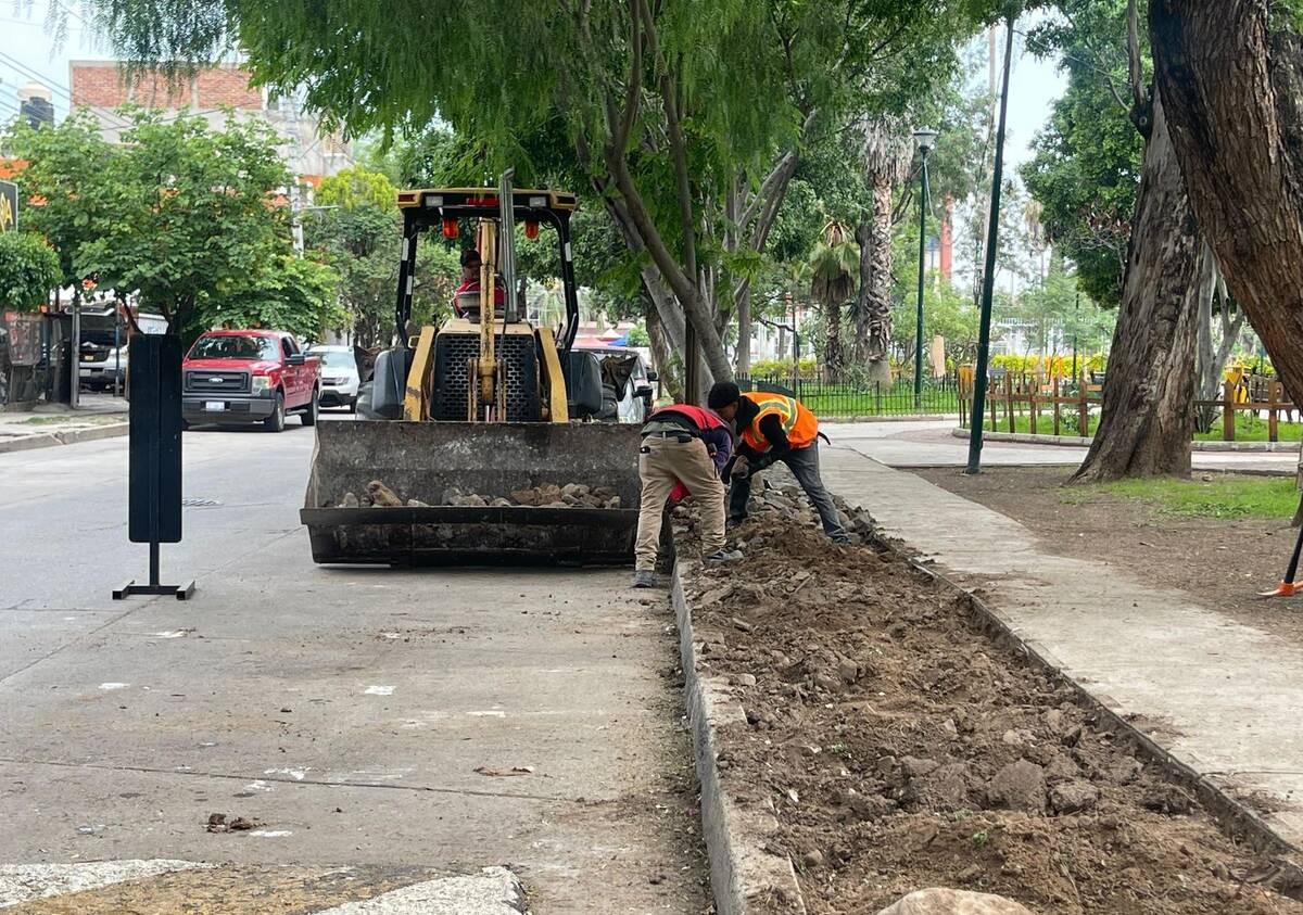 Dan 'manita de gato' a este parque de León; los trabajos durarán tres meses