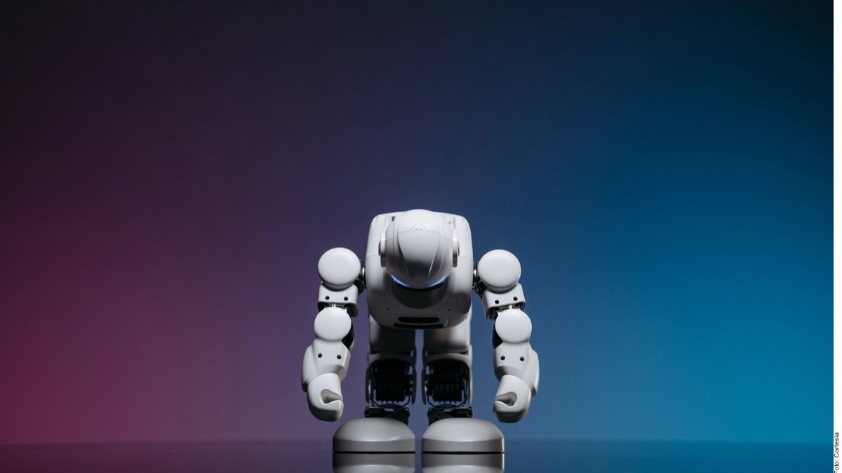 SCJN niega derechos a obra hecha con IA