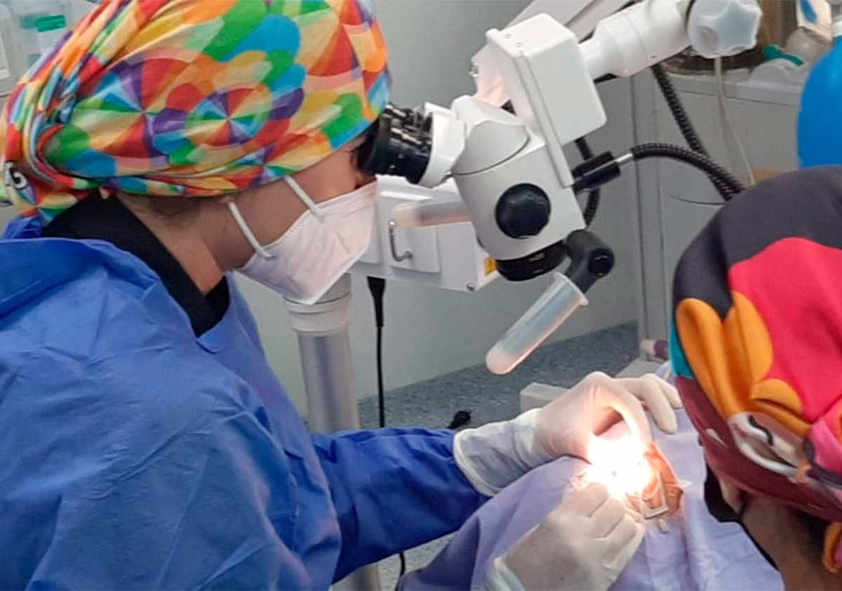 Guanajuatenses donan órganos y transforman la vida de cinco personas