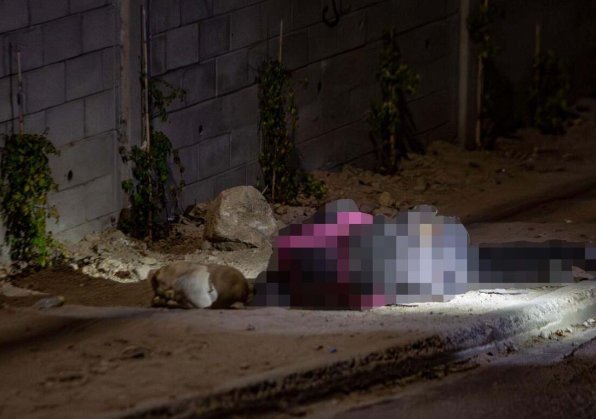 No dejaba que se acercaran: Perrito acompaña el cadáver de su dueño asesinado