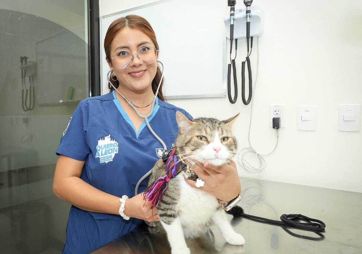 Estos son los costos del Hospital de Mascotas en León