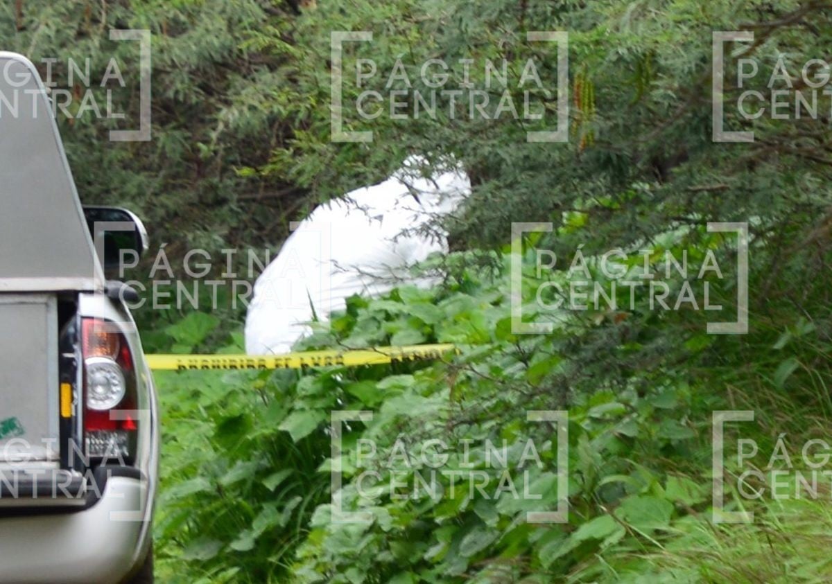 VIDEO Lo dejan en bolsas negras: Localizan cadáver de hombre con huellas de violencia