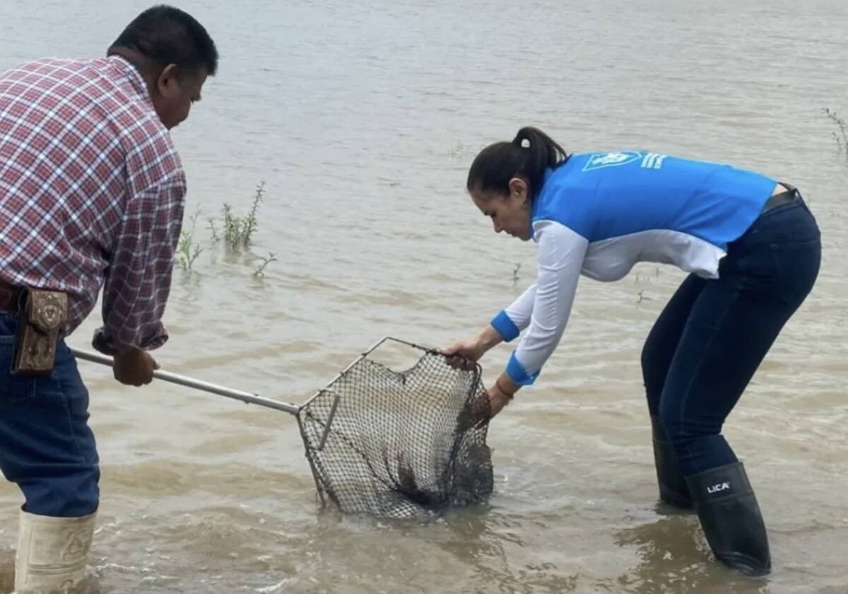 ¿Qué pasará con la presa El Palote si sigue lloviendo? Esto dijo la alcaldesa