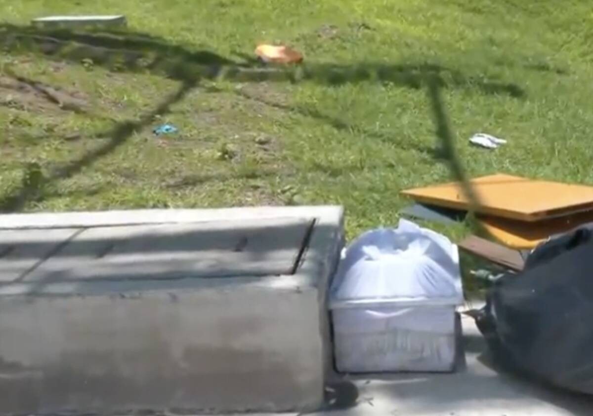 Hallan ataúd infantil en este bosque y cerca de un basurero clandestino