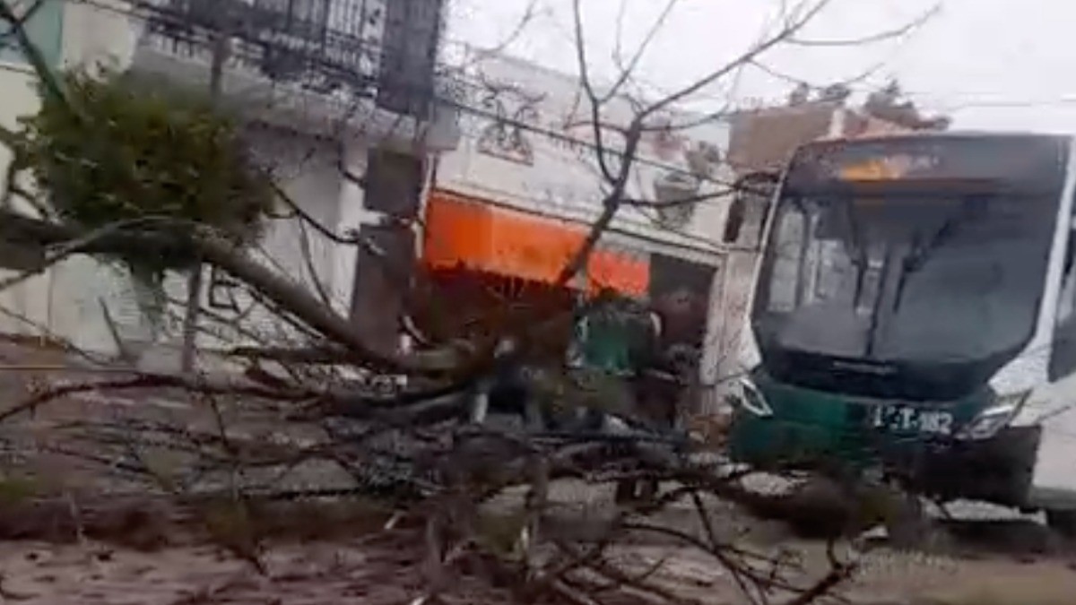 Tolva intentó retornar, pero no pudo y al echarse de reversa causa orugazo, hay una herida