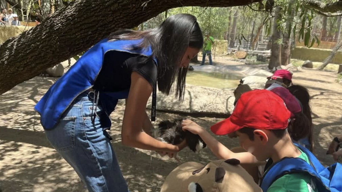 ¡Llegaron las vacaciones! Disfruta los Domingos de Verano en el ZooLeón