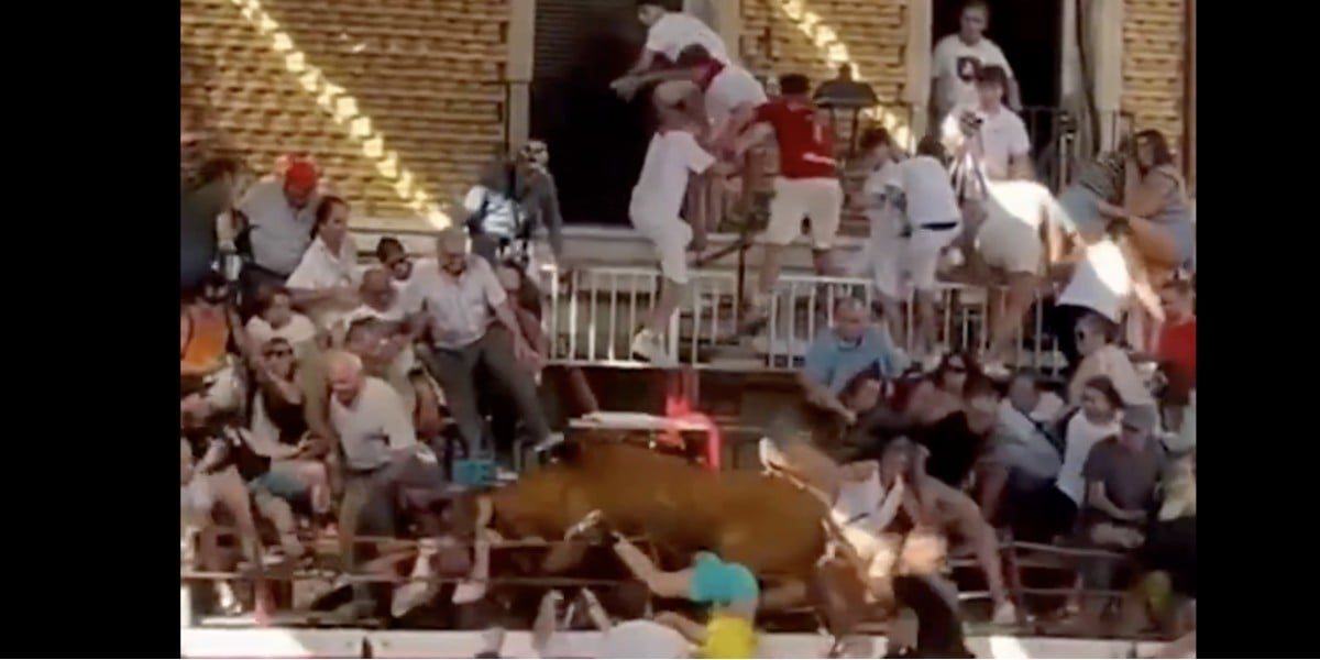 VIDEO ¡Toro salta a las gradas y deja dos lesionados! Suspenden festejos