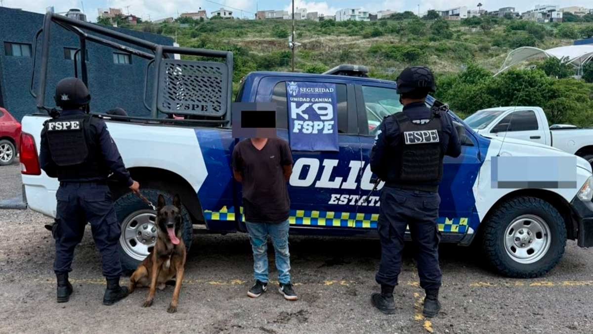 Binomio canino Orkan encuentra 200 dosis droga en operativo; estaban en una cangurera roja