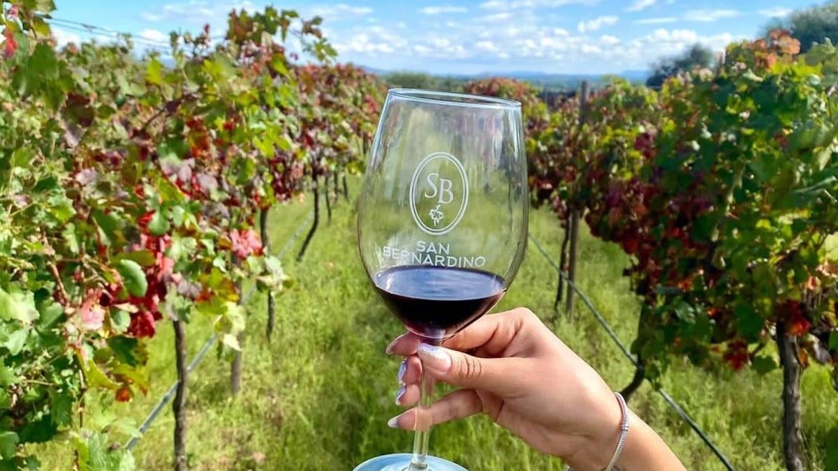 ¡Disfruta Guanajuato estas vacaciones! Toma nota de estos eventos y disfruta en familia