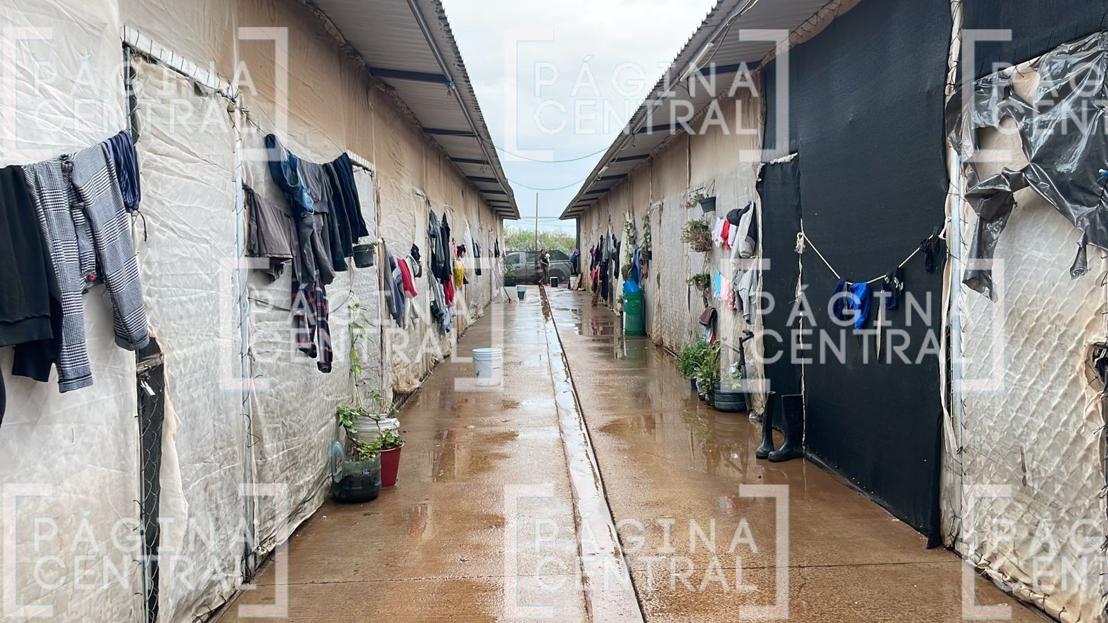 Operativo en El Ramillete no fue un montaje, asegura la gobernadora