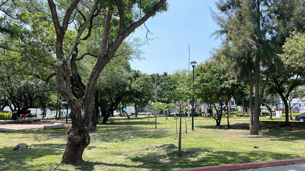 Concede juez suspensión definitiva del desarrollo inmobiliario 'Reserva Norte'; esto sigue