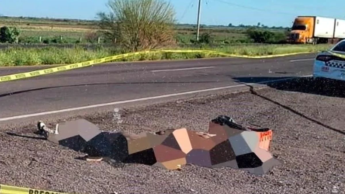 En plena carretera: Abandonan en hielera restos humanos y después 4 cabezas